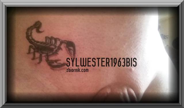 20150828_151228.jpg - sylwester1963bis
