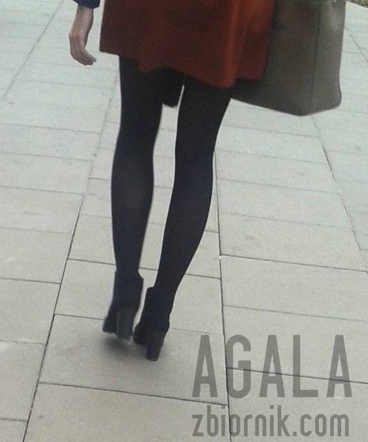 20150903_7cz.jpg - AGALA