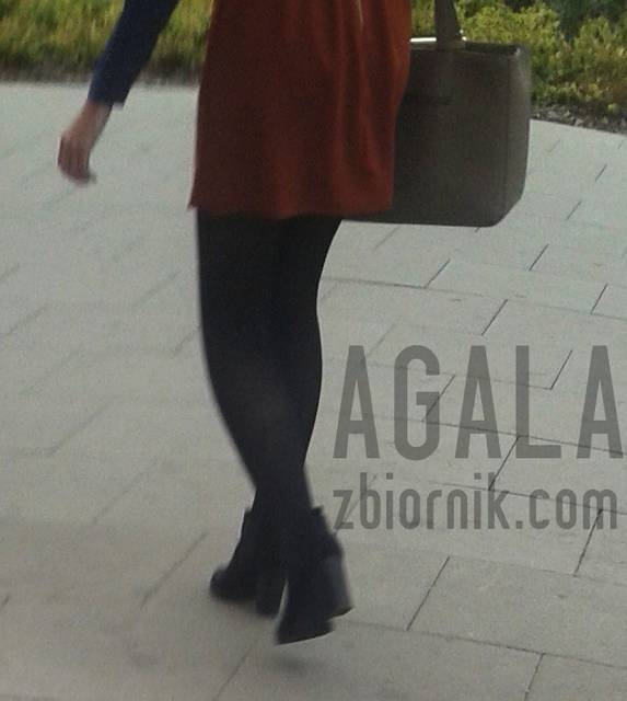 20150903_4cz.jpg - AGALA