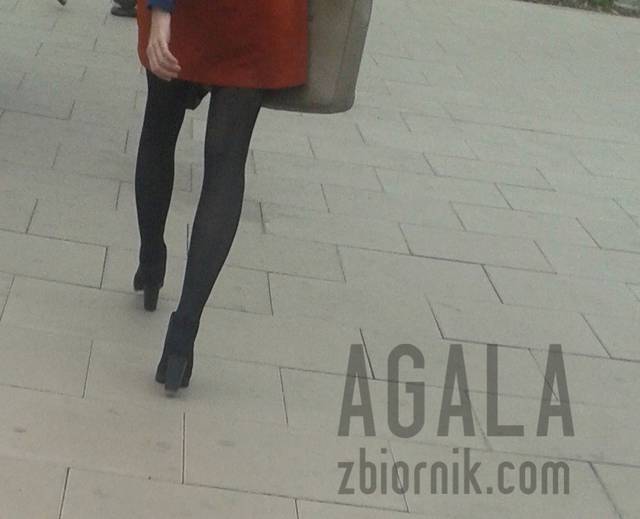 20150903_3cz.jpg - AGALA