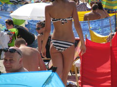 IMG_6231.JPG
