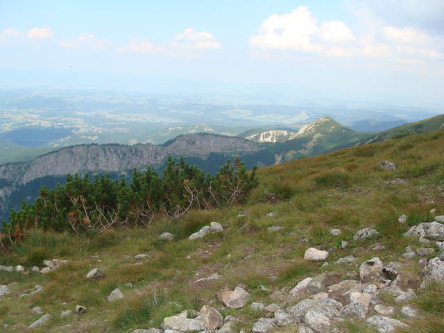 DSC08960.JPG - ZakazanaStrefa