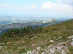 DSC08960.JPG