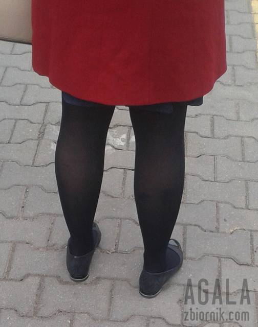 20150909_2cz.jpg - AGALA