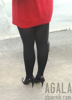 20150910_13cz.jpg