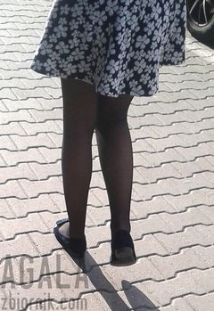 20150910_6cz.jpg