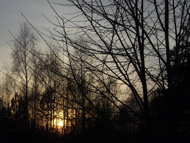 DSCF1563.JPG - Bawarka79