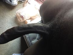 173_1000.jpg