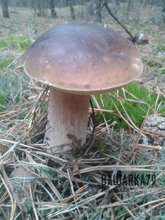 20150925_150925.jpg