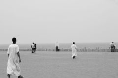 IMG_2313.jpg