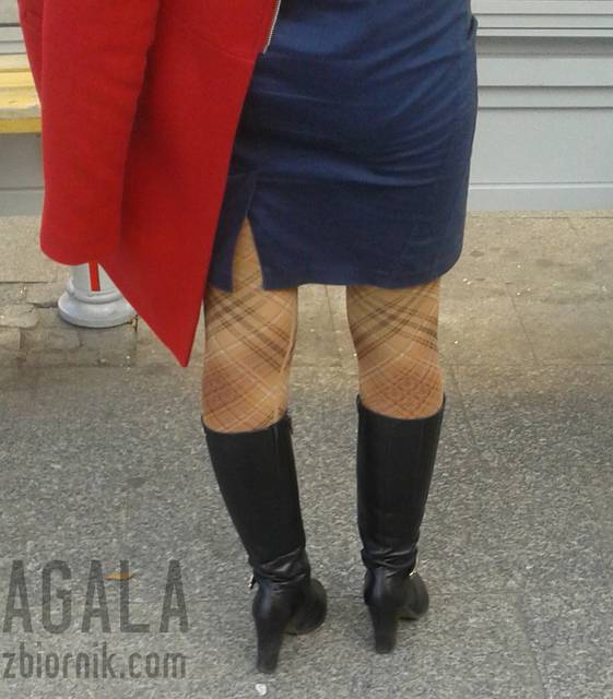 20151002_8odj.jpg - AGALA