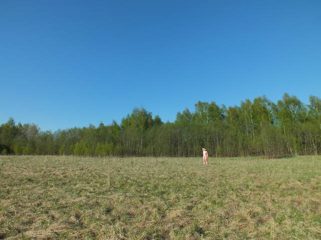 DSCF5287.jpg - para_061