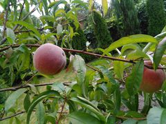 IMG_20150912_105614.jpg