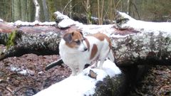 IMG_20150307_094714.jpg