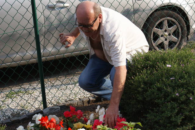 DSC08425.JPG - podejrzliwy