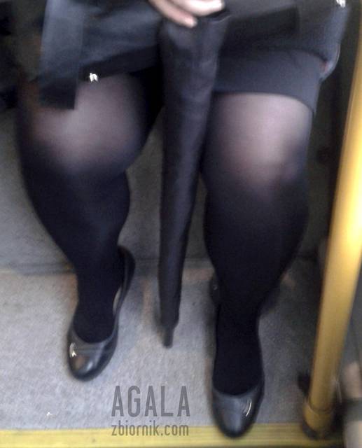 20151013_7cz.jpg - AGALA