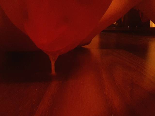 11991052_965434353494910_464673296_o.jpg - kundel486