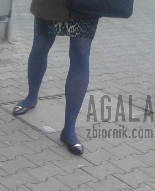 20151019_5kol.jpg - AGALA