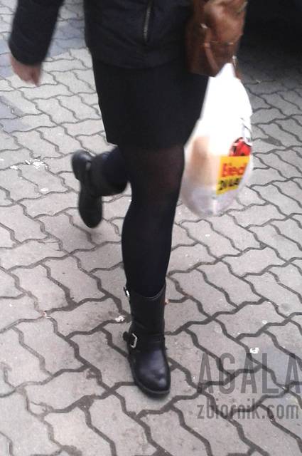 20151020_13cz.jpg - AGALA