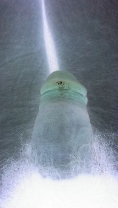Negative