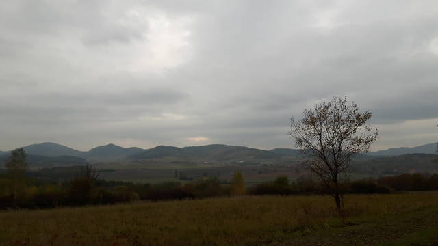20151025_145049.jpg - 01wacek