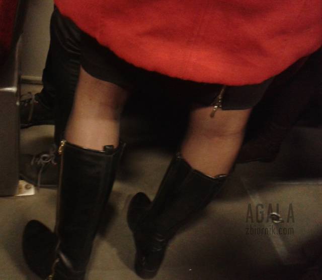 20151026_3cz.jpg - AGALA