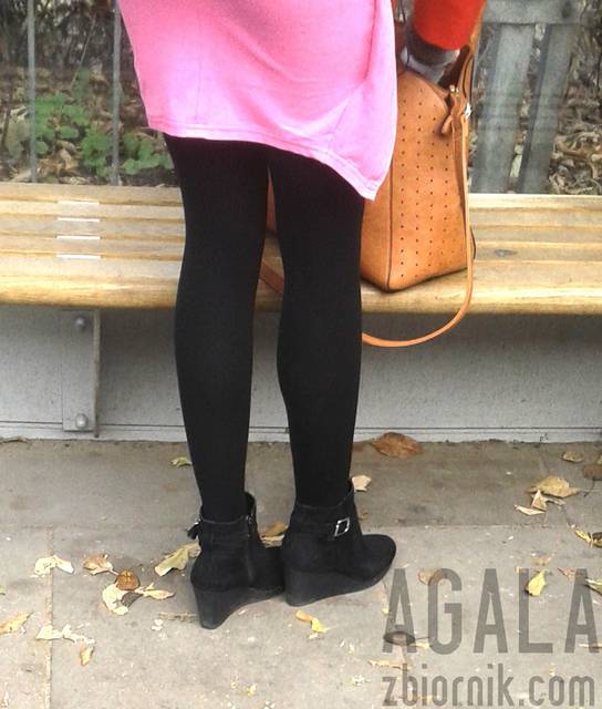 20151027_6cz.jpg - AGALA