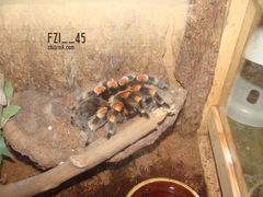 DSC05717.JPG
