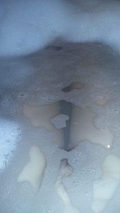received_990430874331606.jpeg