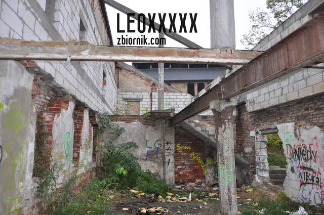 miejsce na sesje.JPG - Leoxxxxx
