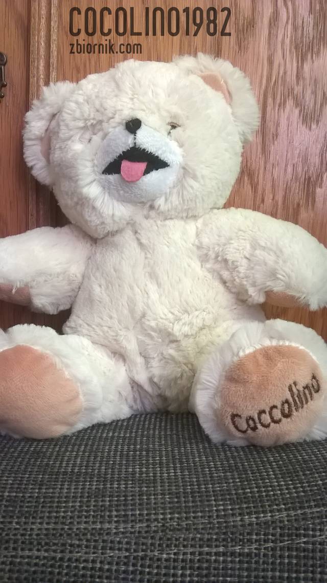 Cocolino1982