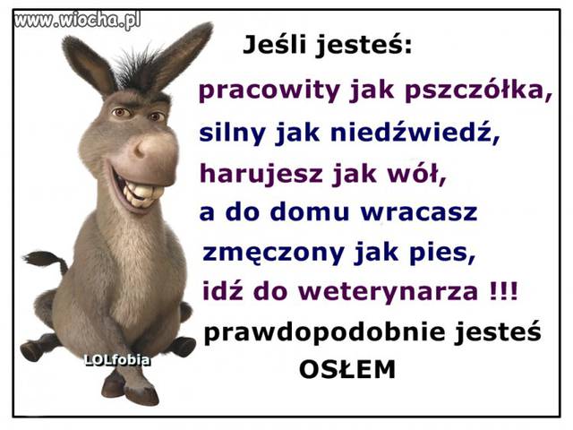 17cac8097be0326337f404e53793b3b5.jpg - basiafrezja