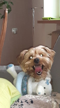 20151109_092244.jpg
