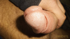 DSC01700-1.jpg
