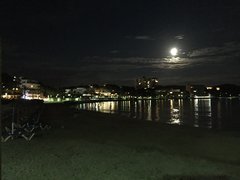 DAA00656-73B6-4C9E-A2D3-7821BFA1A03B.JPG