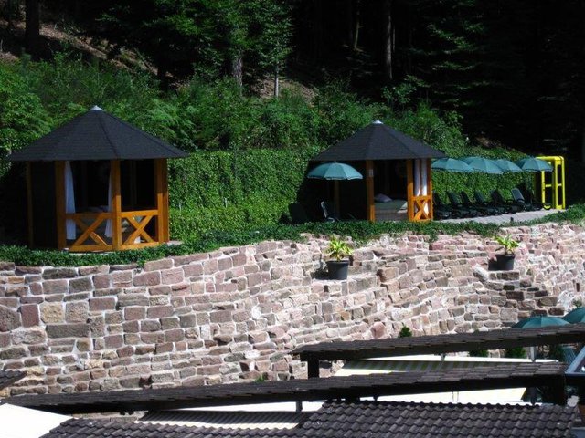 Auhof_Paar