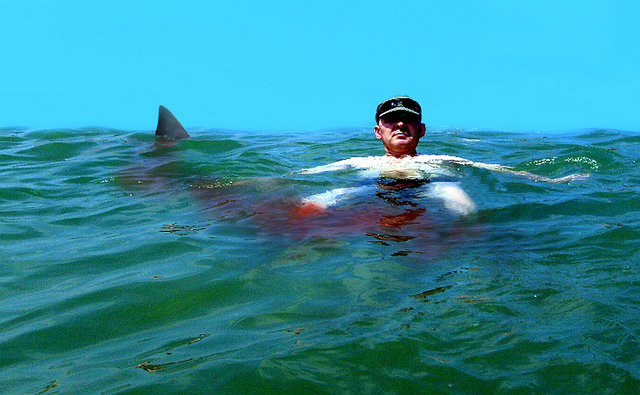 SHARK!.jpg - Seppo