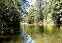 DSC00115.JPG