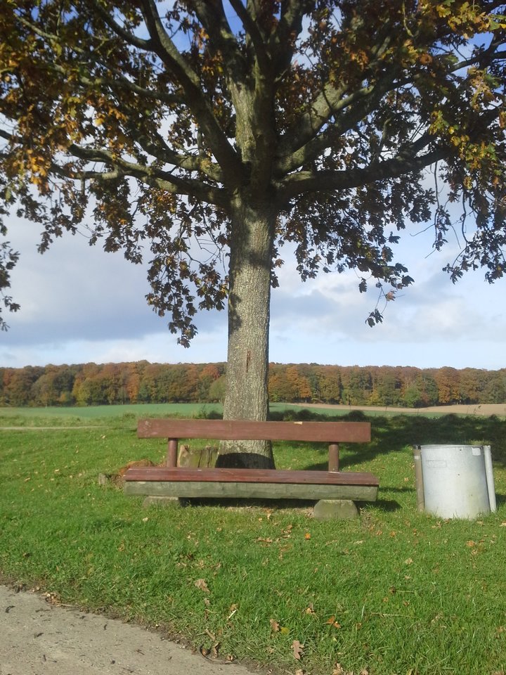 20151025_125043.jpg - W_72