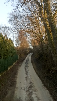 DSC_0031.JPG