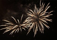 2010.jpg