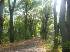 DSC01629.JPG