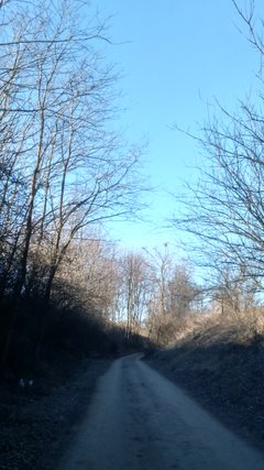 DSC_0036.JPG