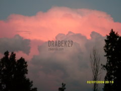 SDC10988.JPG
