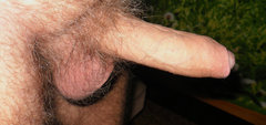 SAM_1458x.jpg
