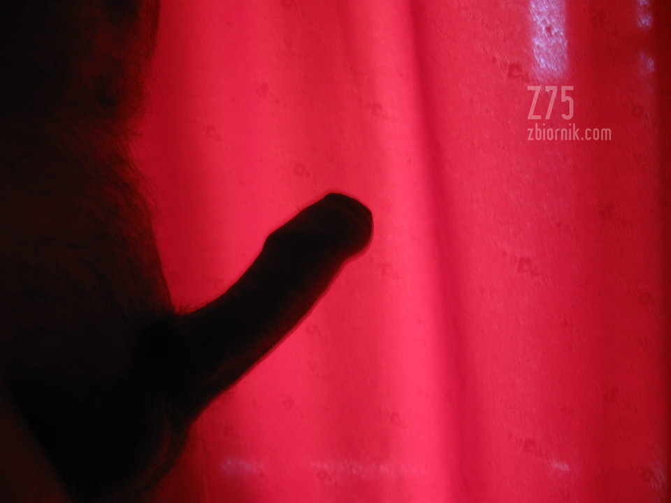IMG_4502.JPG - z75