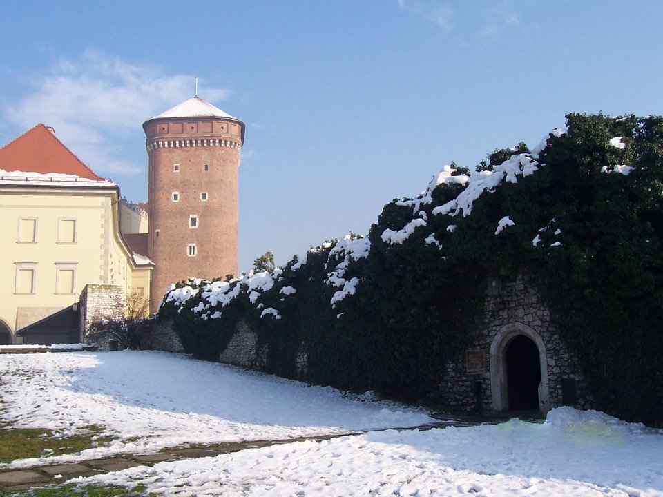 TARAS I WEJSCIE DO OGRODU.jpg - zwyklyfacetkrk
