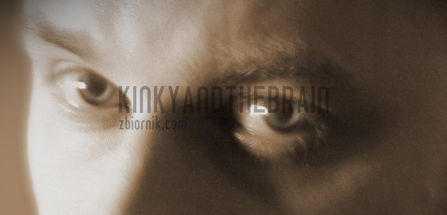 KinkyAndTheBrain