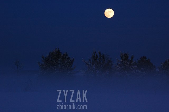 zyzak