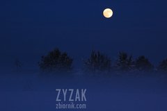 zimowa pełnia
